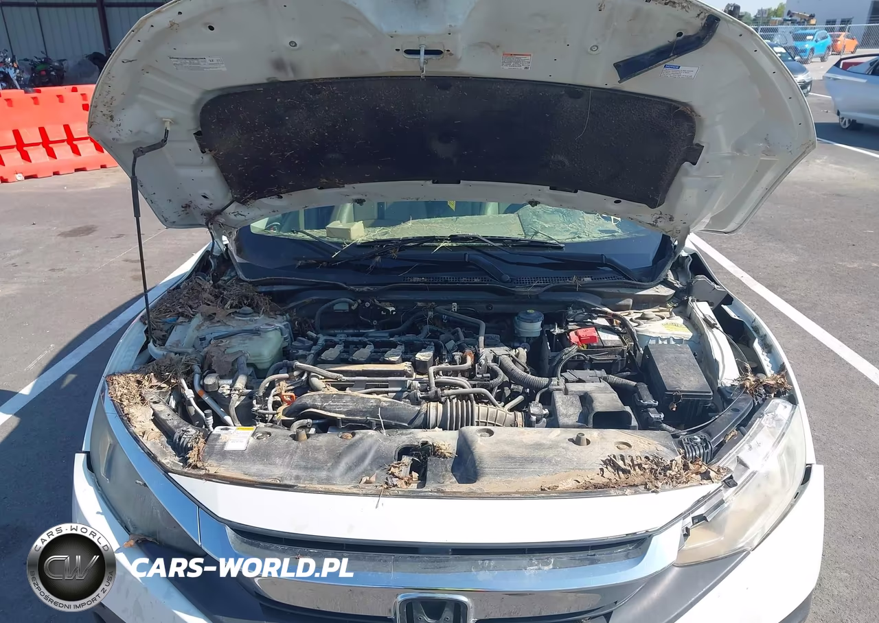 2016 Honda Civic Ex-L VIN:2HGFC1F78GH639570 - 10