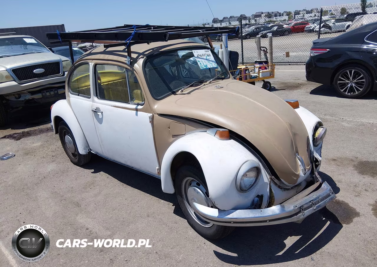 1973 Vw Beetle