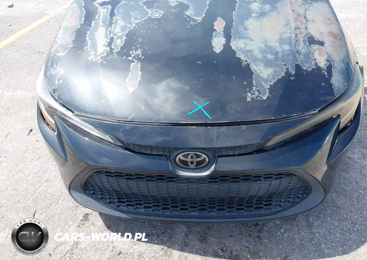 2020 Toyota Corolla Le VIN:5YFEPRAE5LP033828 - 10