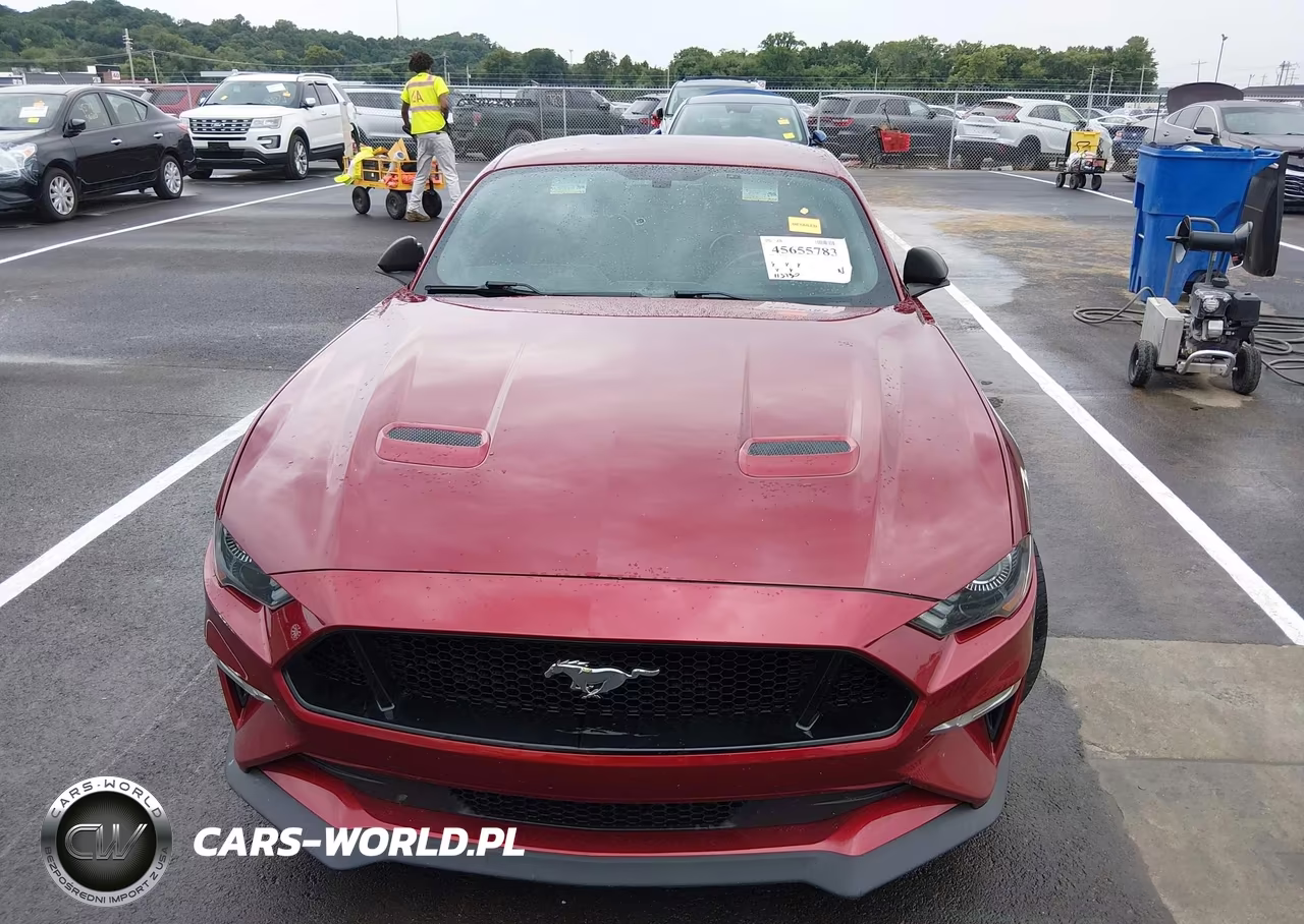 2019 Ford Mustang Gt Premium VIN:1FA6P8CF4K5193947 - 13