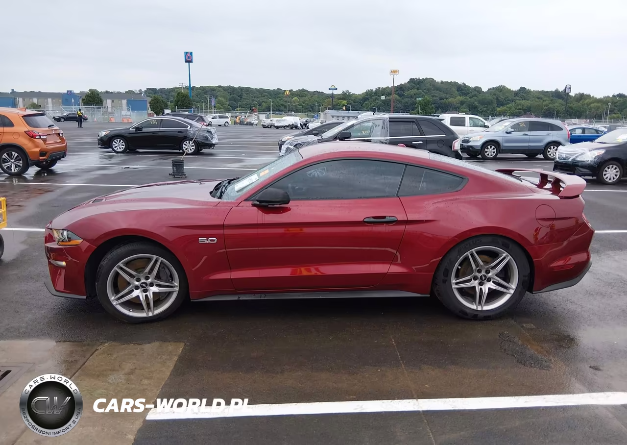 2019 Ford Mustang Gt Premium VIN:1FA6P8CF4K5193947 - 15