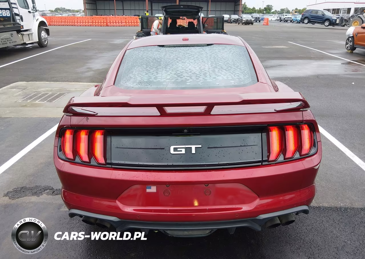 2019 Ford Mustang Gt Premium VIN:1FA6P8CF4K5193947 - 17