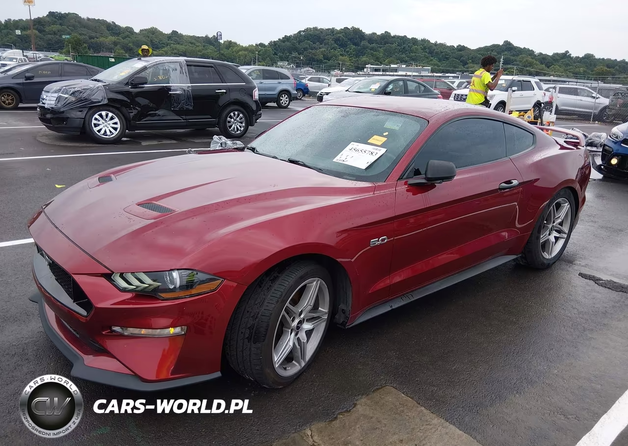2019 Ford Mustang Gt Premium VIN:1FA6P8CF4K5193947 - 2