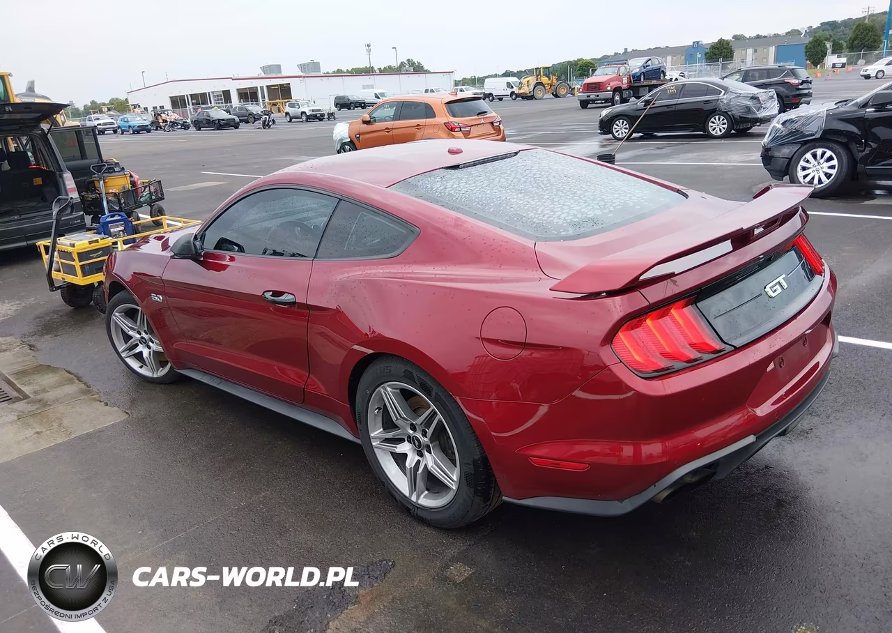 2019 Ford Mustang Gt Premium VIN:1FA6P8CF4K5193947 - 3