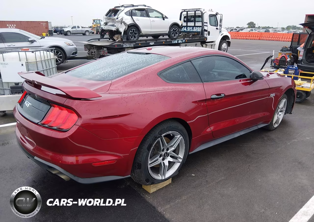 2019 Ford Mustang Gt Premium VIN:1FA6P8CF4K5193947 - 4