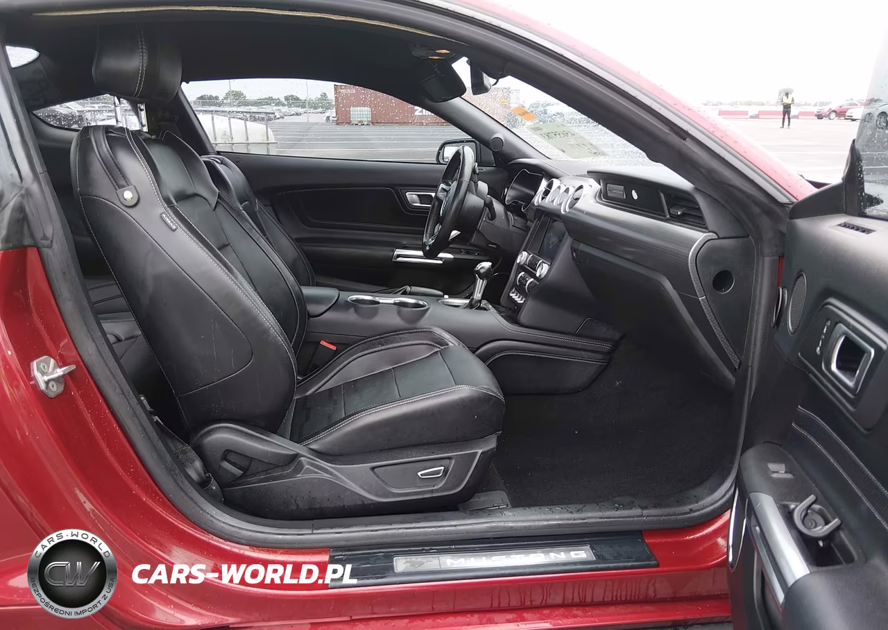 2019 Ford Mustang Gt Premium VIN:1FA6P8CF4K5193947 - 5