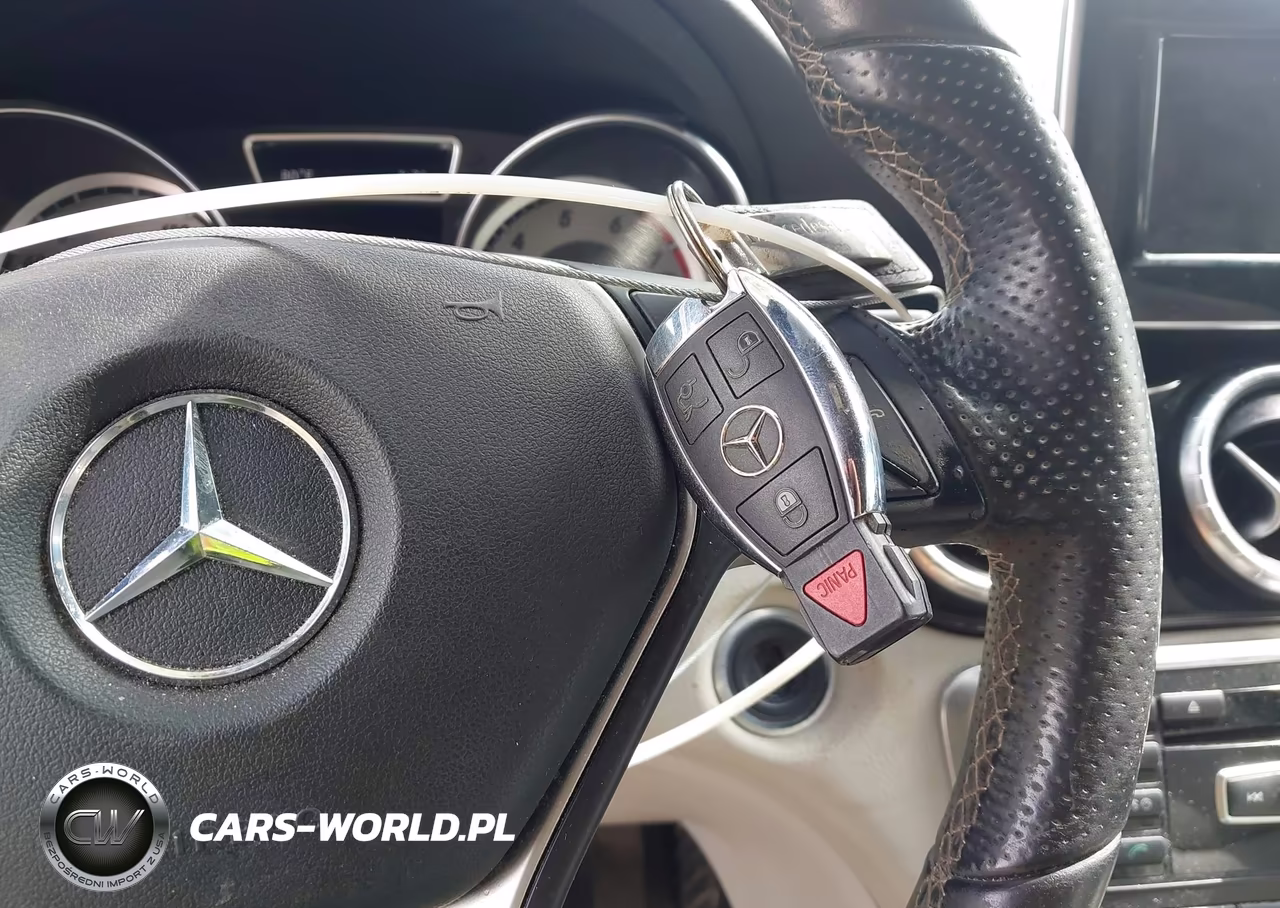 2014 Mercedes-Benz Cla 250 VIN:WDDSJ4EB3EN147730 - 11