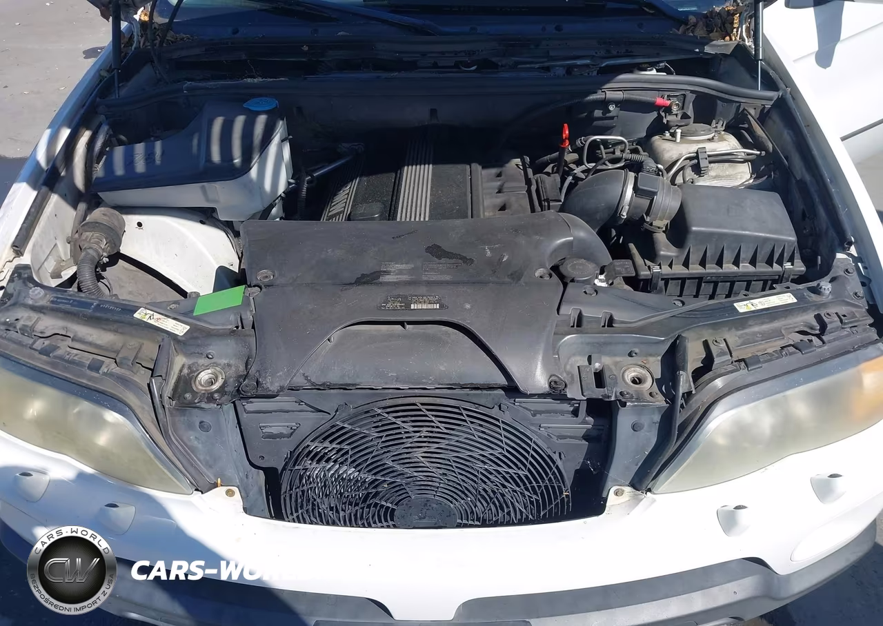 2005 BMW X5 3.0I VIN:5UXFA13545LY11292 - 10