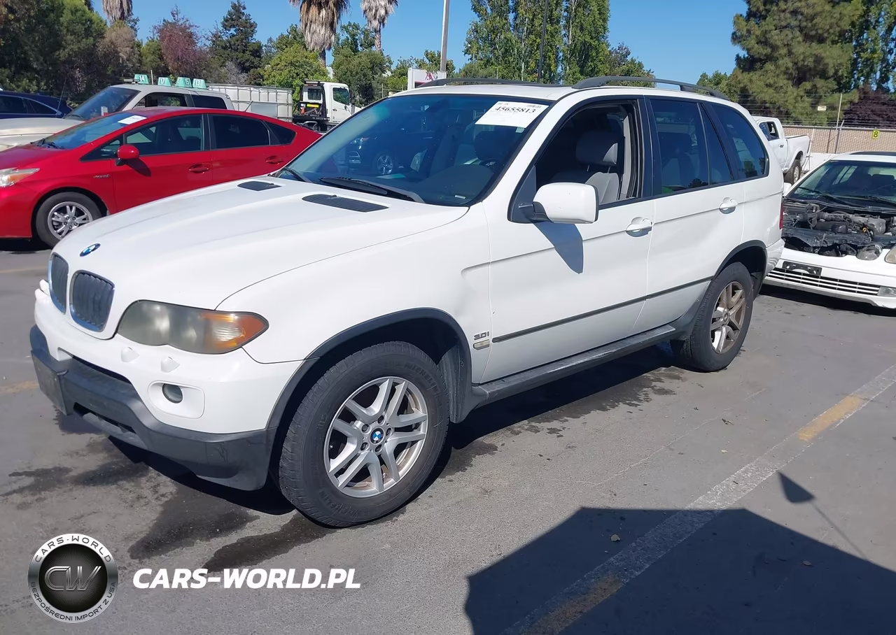 2005 BMW X5 3.0I VIN:5UXFA13545LY11292 - 2