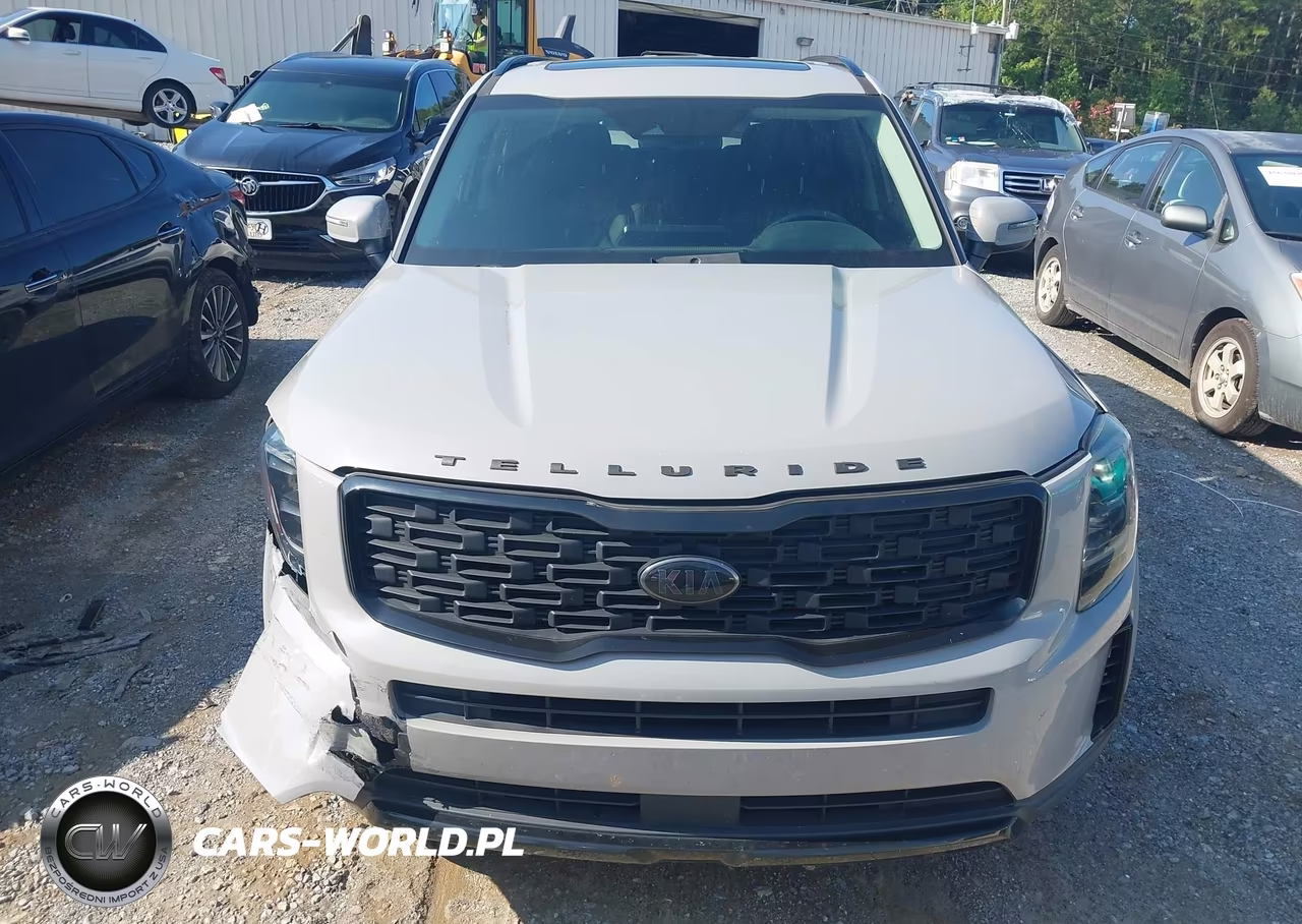 2021 Kia Telluride Ex VIN:5XYP3DHC3MG183597 - 12