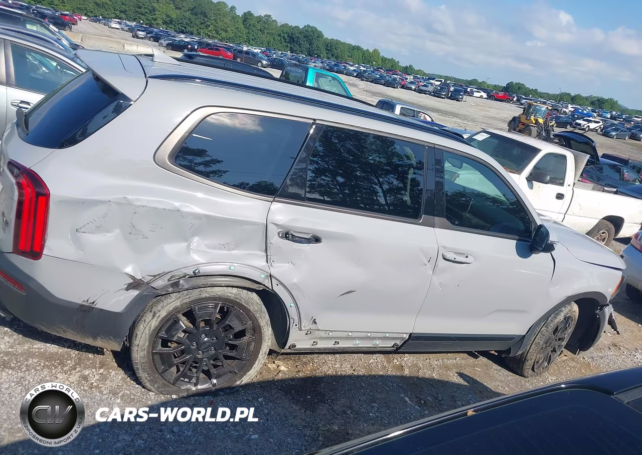 2021 Kia Telluride Ex VIN:5XYP3DHC3MG183597 - 13