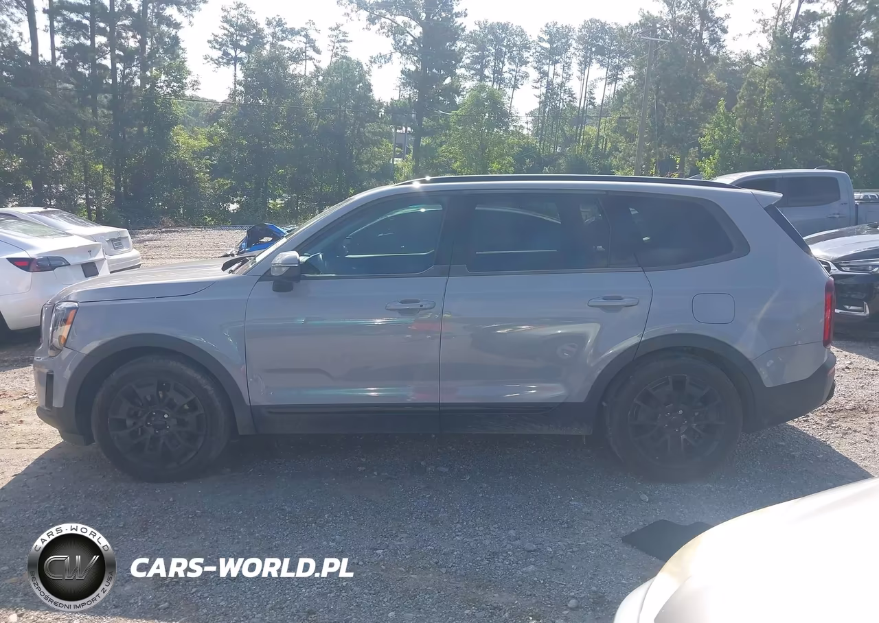 2021 Kia Telluride Ex VIN:5XYP3DHC3MG183597 - 14
