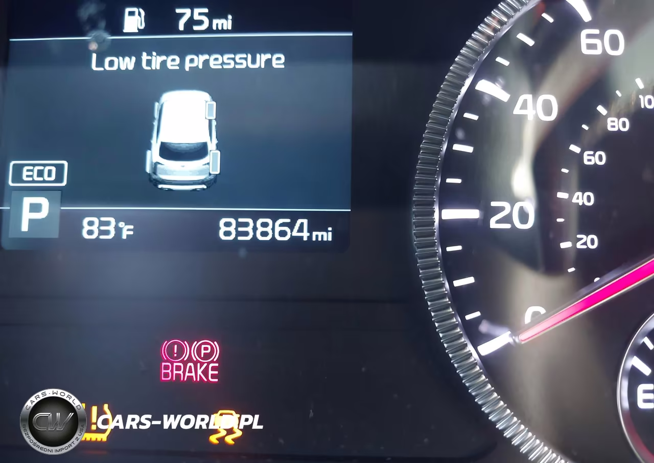 2021 Kia Telluride Ex VIN:5XYP3DHC3MG183597 - 15