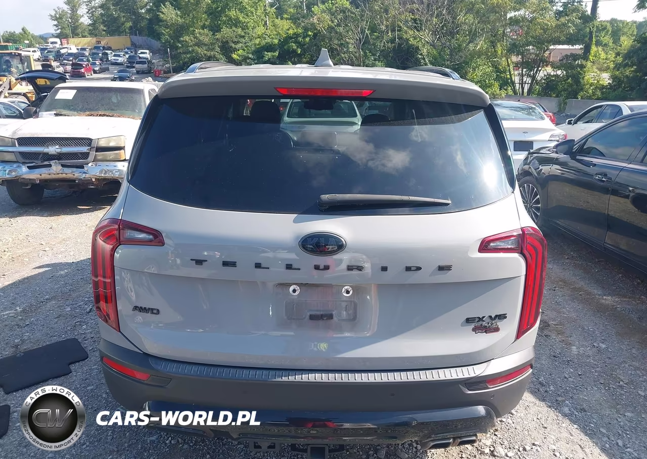 2021 Kia Telluride Ex VIN:5XYP3DHC3MG183597 - 16