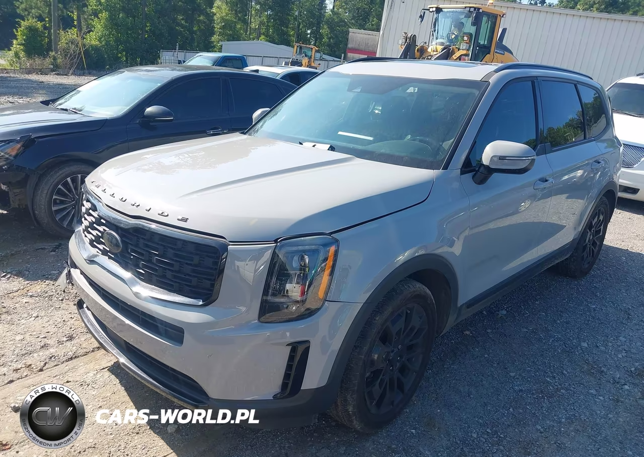 2021 Kia Telluride Ex VIN:5XYP3DHC3MG183597 - 2
