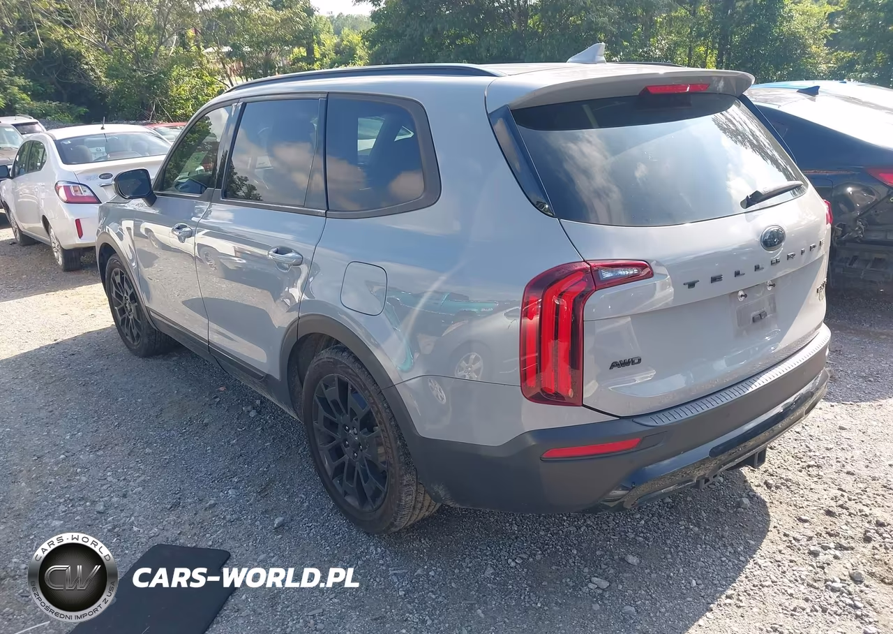 2021 Kia Telluride Ex VIN:5XYP3DHC3MG183597 - 3