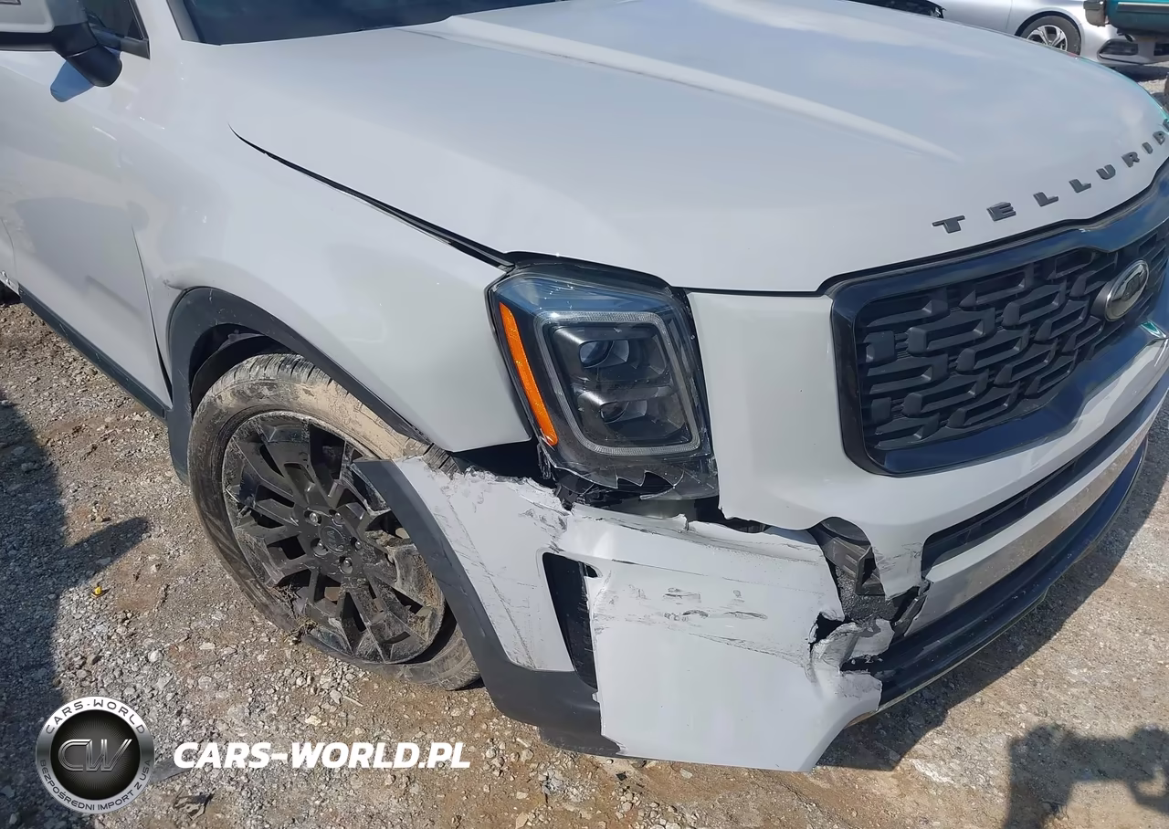 2021 Kia Telluride Ex VIN:5XYP3DHC3MG183597 - 6