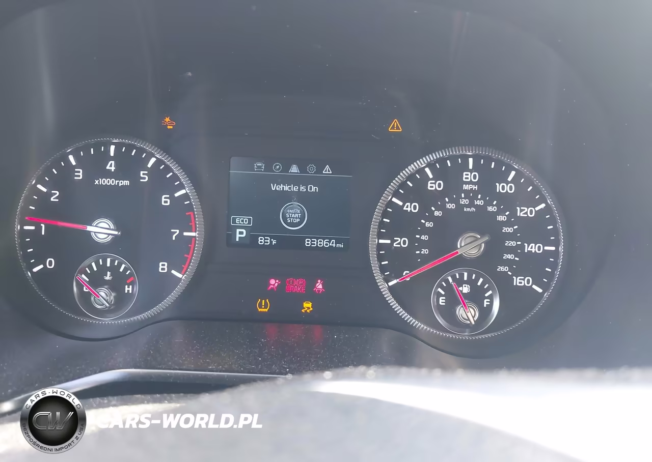 2021 Kia Telluride Ex VIN:5XYP3DHC3MG183597 - 7