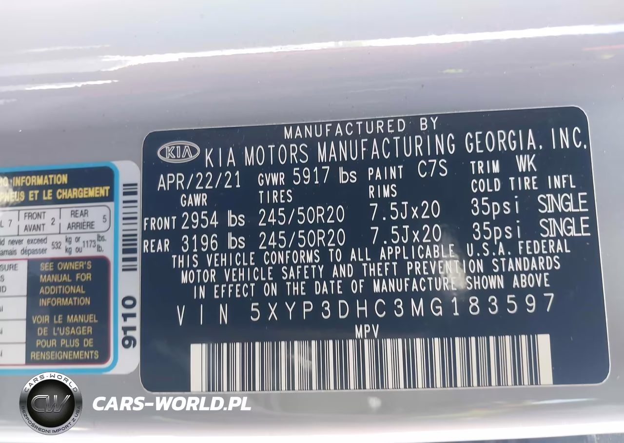 2021 Kia Telluride Ex VIN:5XYP3DHC3MG183597 - 9