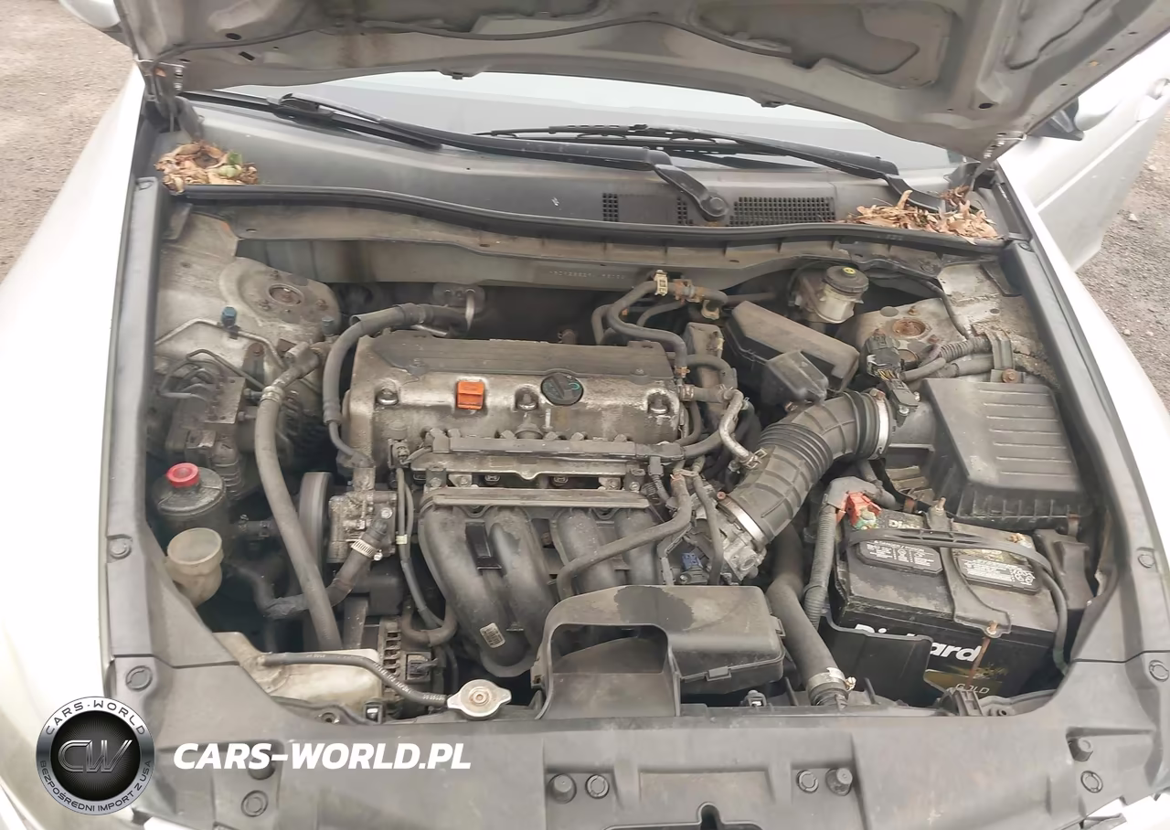 2009 Honda Accord 2.4 Lx VIN:1HGCP26329A196022 - 10