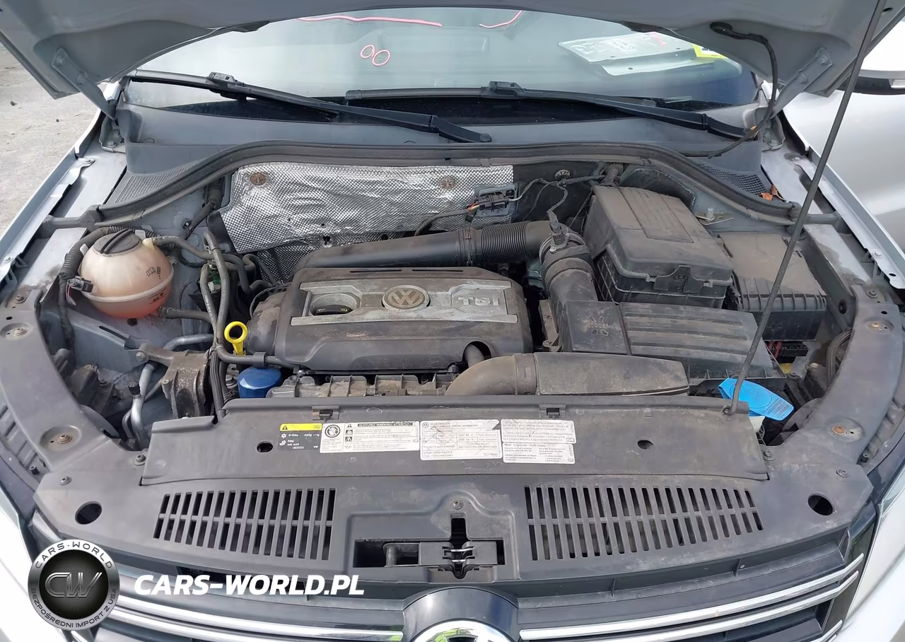 2016 Volkswagen Tiguan S VIN:WVGBV7AX1GW598004 - 10