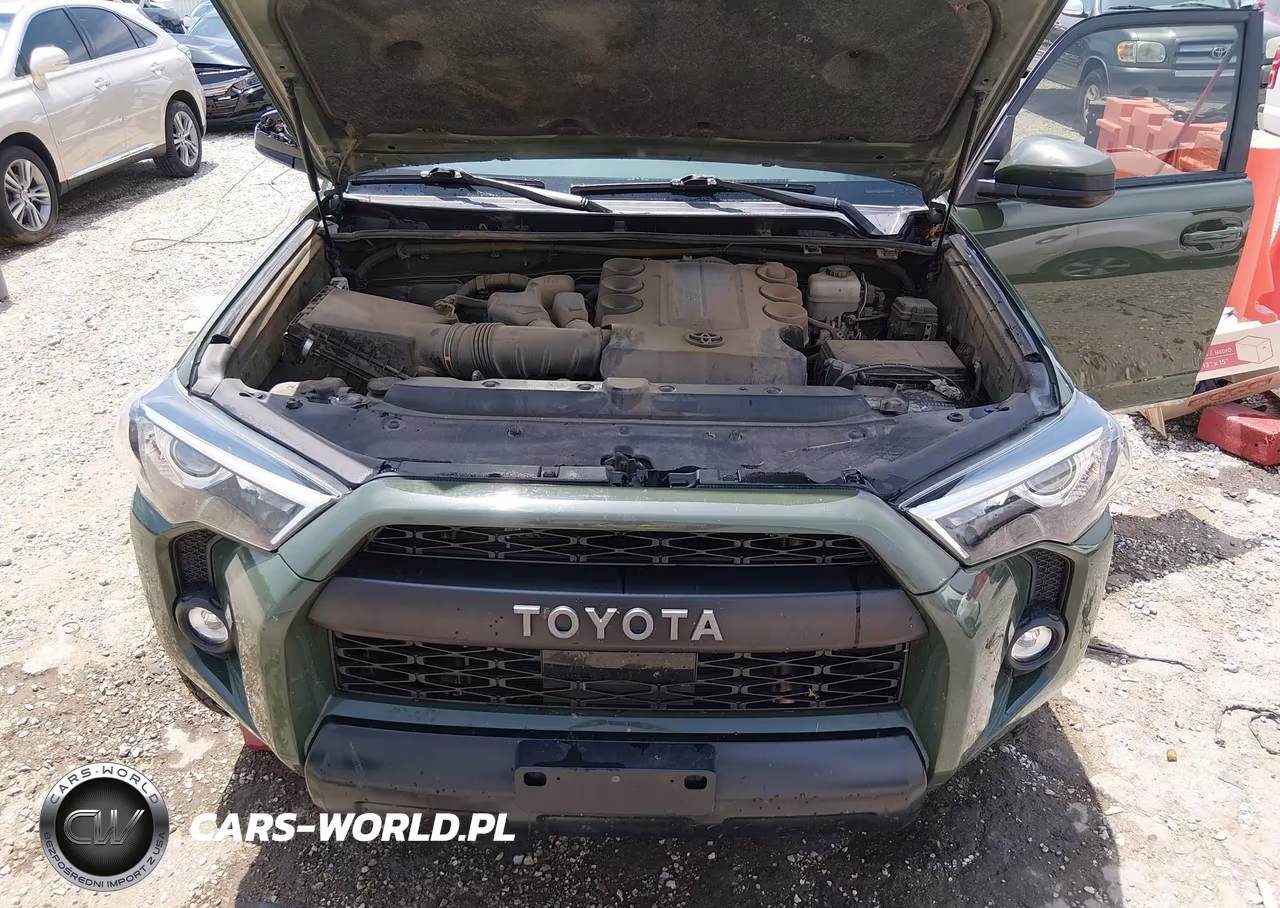 2020 Toyota 4Runner Trd Pro VIN:JTEBU5JR4L5744856 - 10
