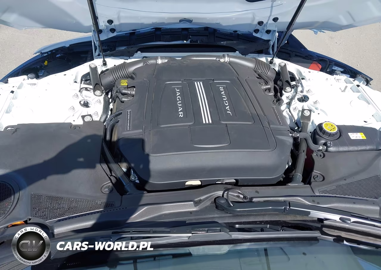 2024 Jaguar F-Type P450 R-Dynamic Rwd Automatic VIN:SAJDF1EE9RCK87085 - 10