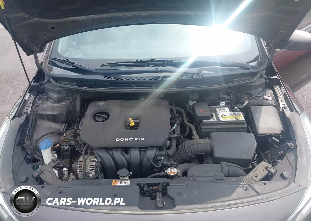 2017 Kia Forte Lx VIN:3KPFK4A77HE160743 - 10