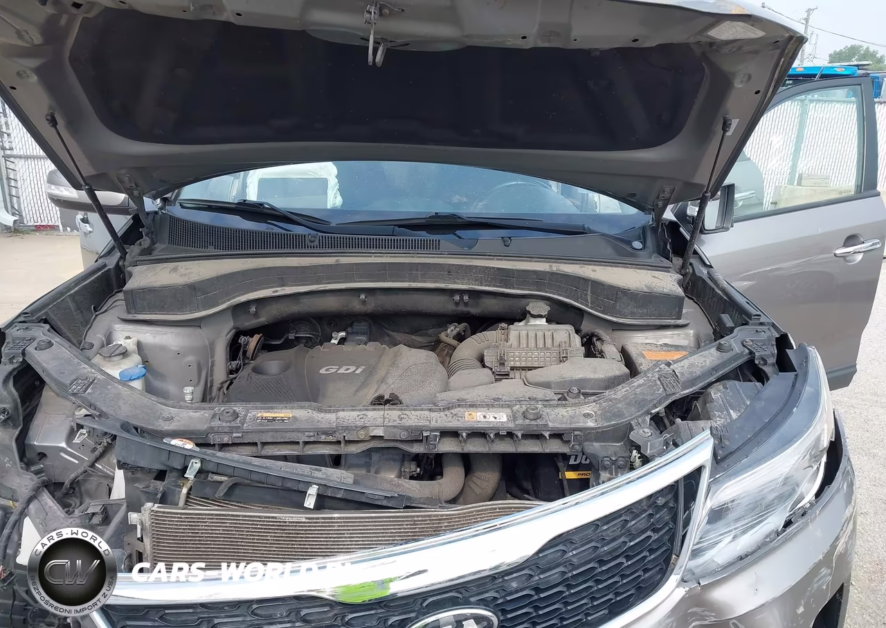 2014 Kia Sorento Lx VIN:5XYKT3A69EG508814 - 10