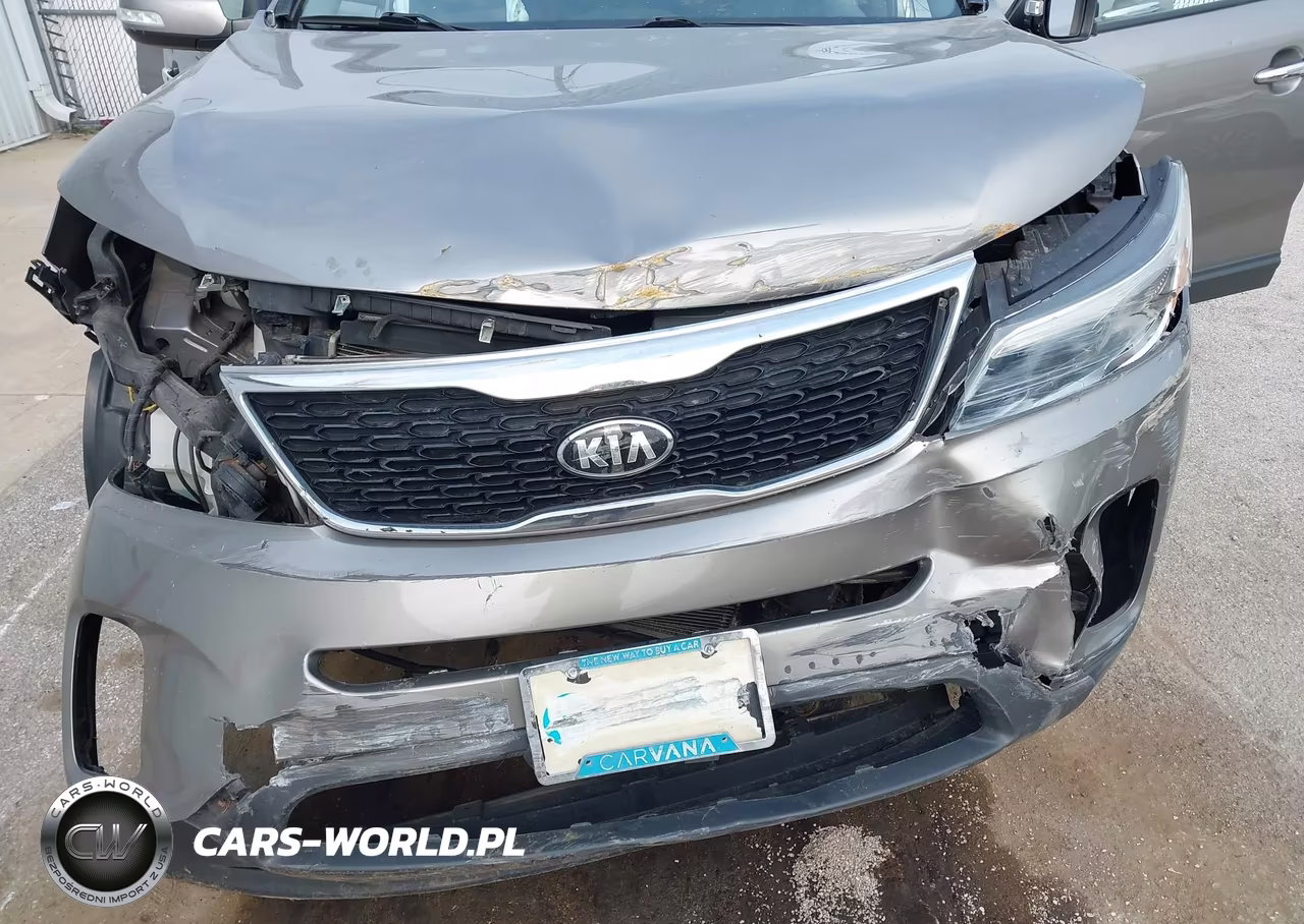 2014 Kia Sorento Lx VIN:5XYKT3A69EG508814 - 12