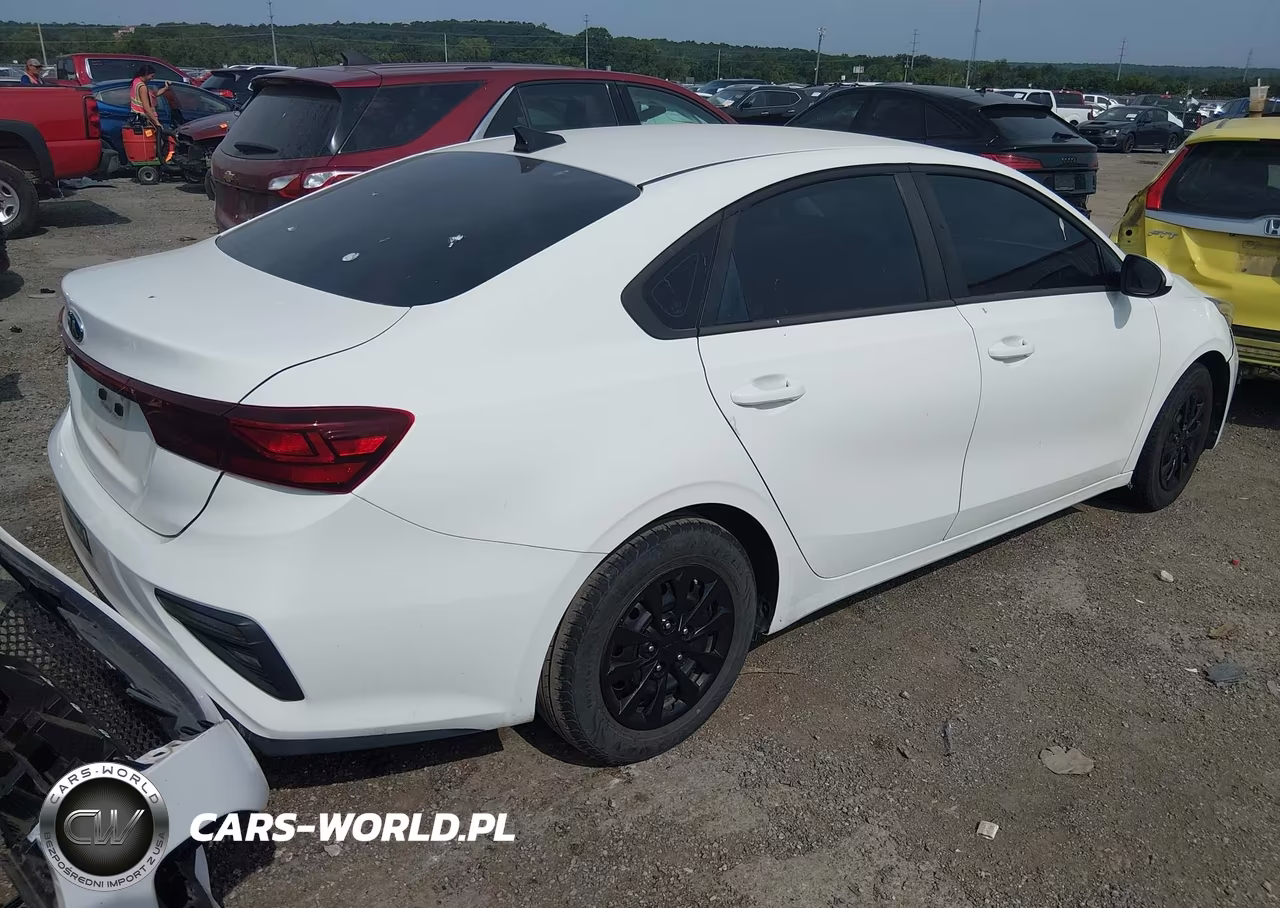 2020 Kia Forte Fe VIN:3KPF24AD4LE160424 - 4