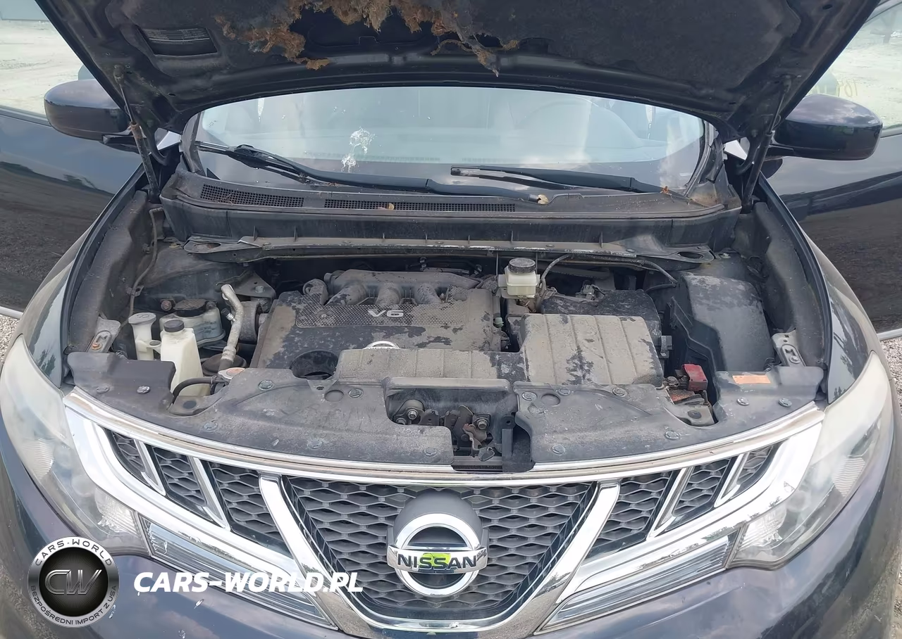 2012 Nissan Murano Le VIN:JN8AZ1MW8CW213296 - 10