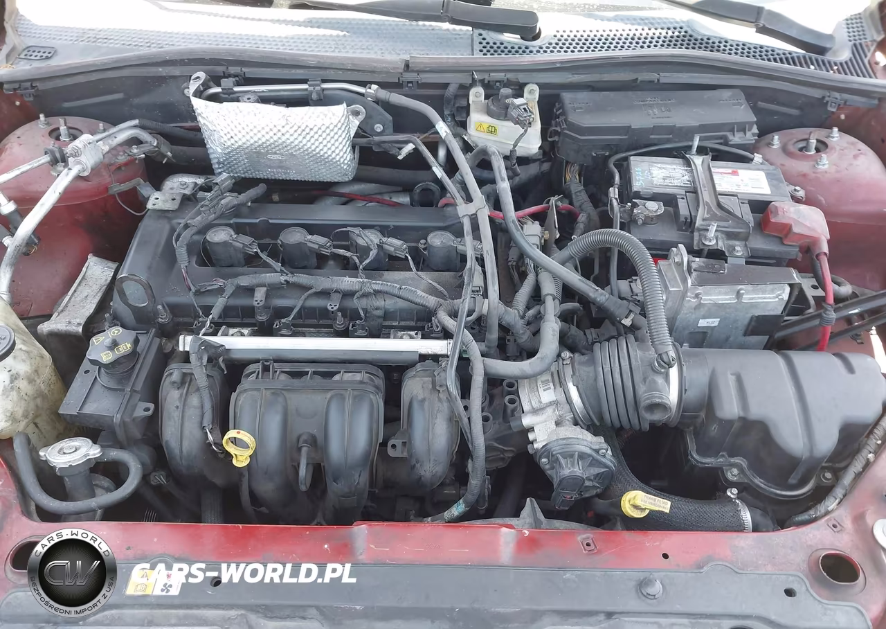 2009 Ford Focus Ses VIN:1FAHP36N69W106973 - 10