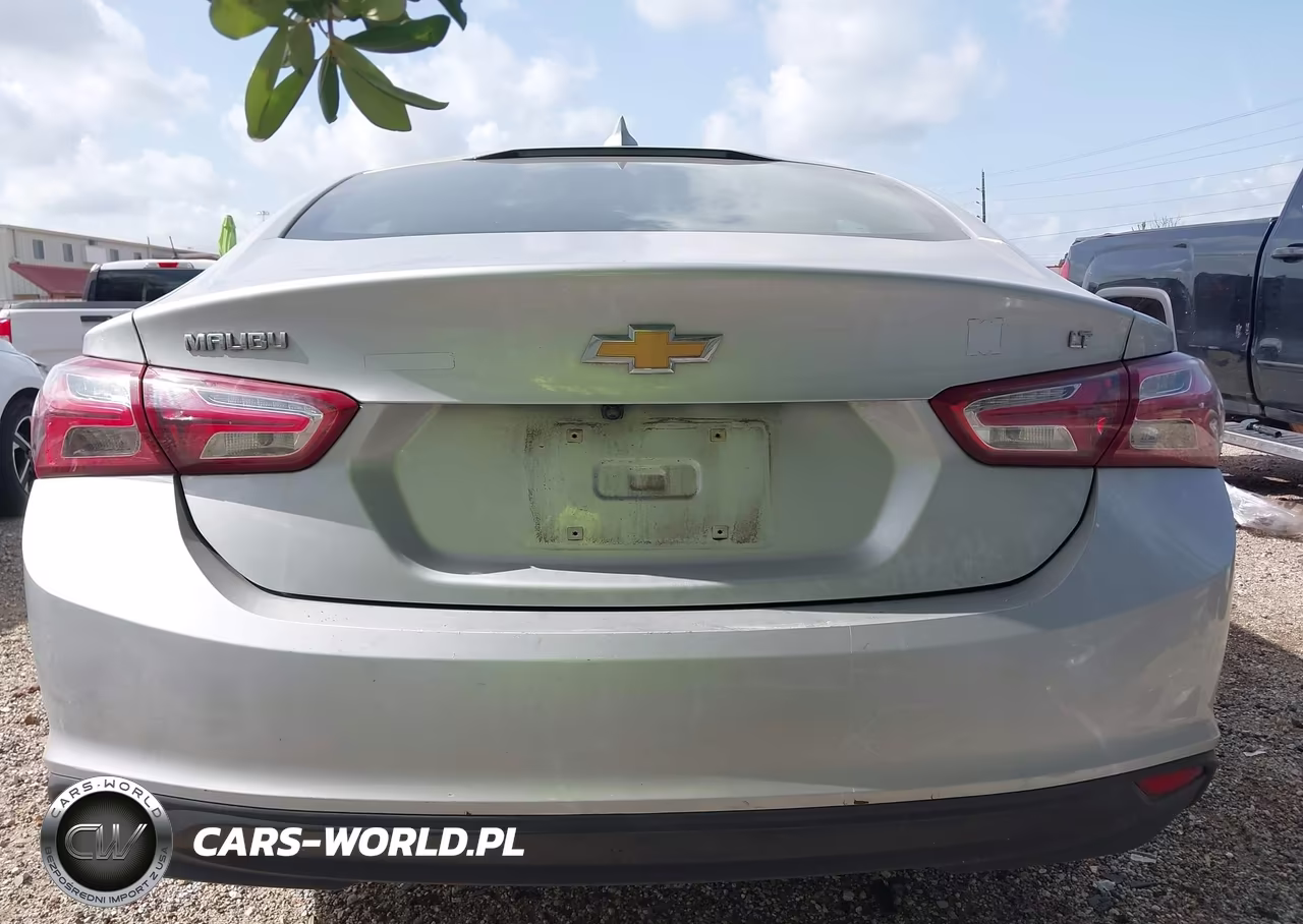 2022 Chevrolet Malibu Fwd Lt VIN:1G1ZD5ST7NF173107 - 17