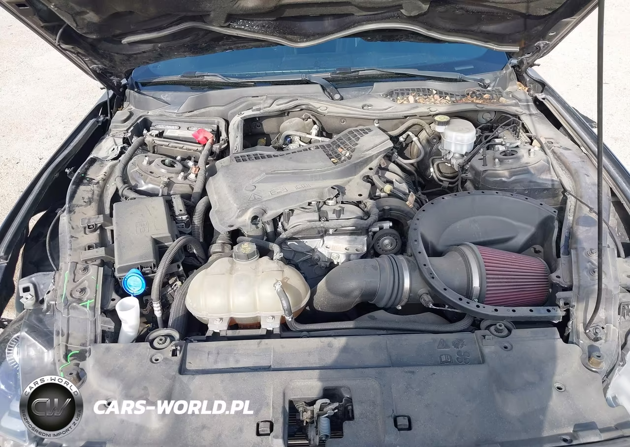 2021 Ford Mustang Ecoboost Fastback VIN:1FA6P8TH1M5157587 - 10