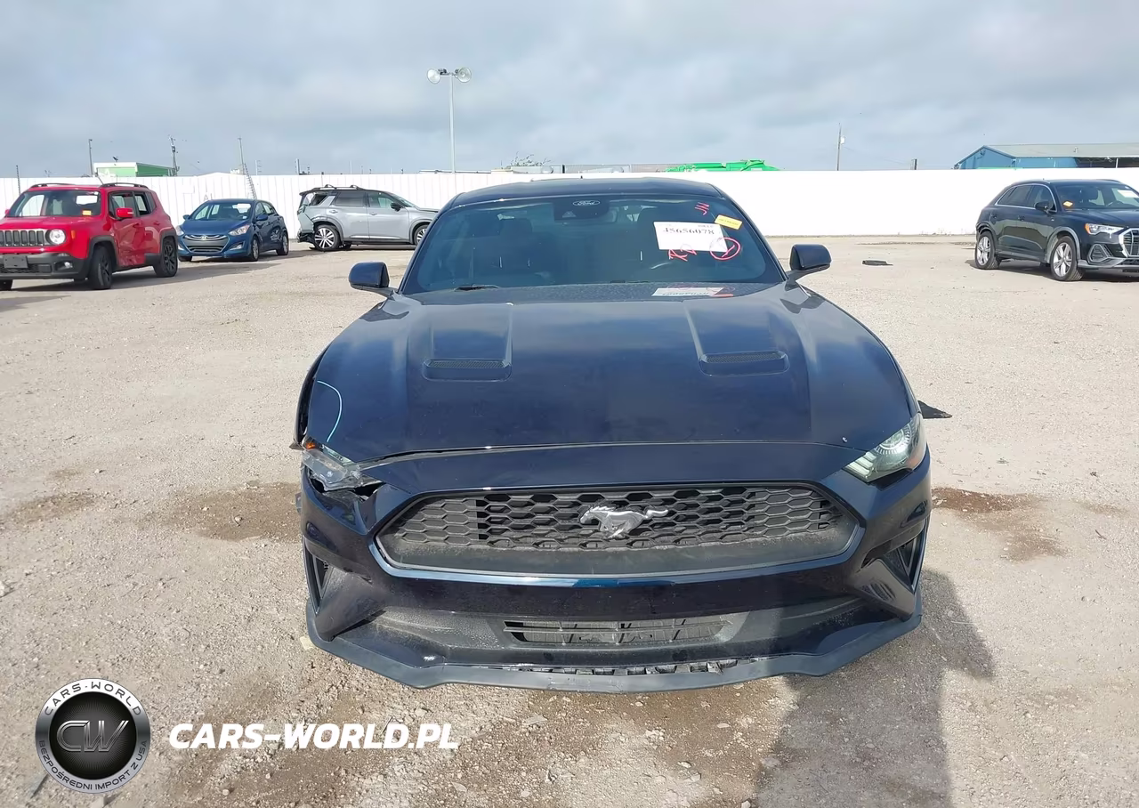 2021 Ford Mustang Ecoboost Fastback VIN:1FA6P8TH1M5157587 - 12