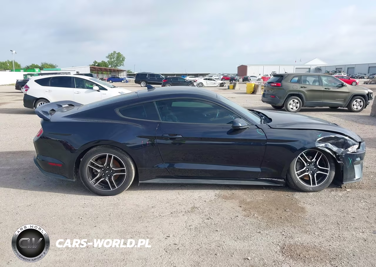 2021 Ford Mustang Ecoboost Fastback VIN:1FA6P8TH1M5157587 - 13