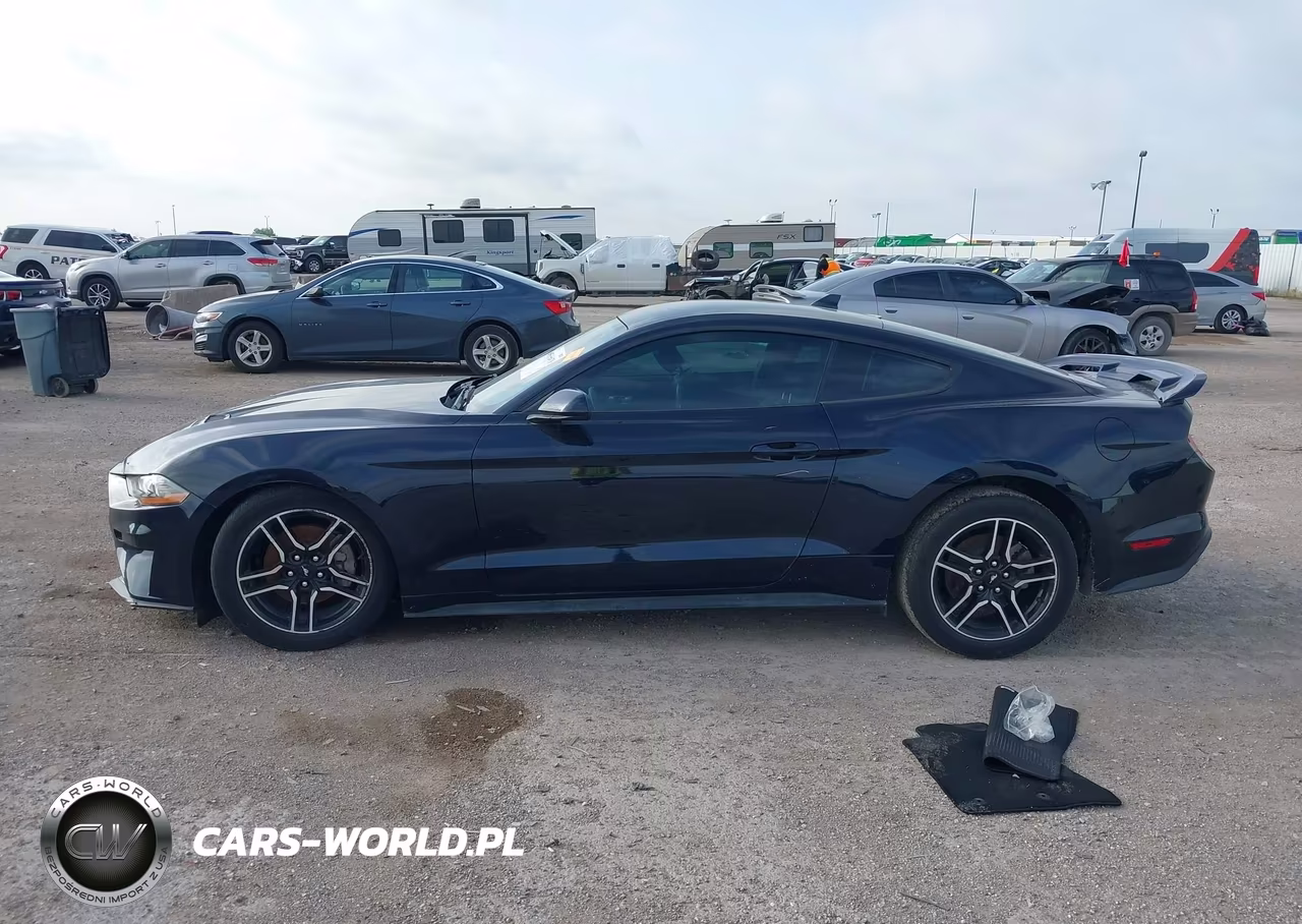 2021 Ford Mustang Ecoboost Fastback VIN:1FA6P8TH1M5157587 - 14
