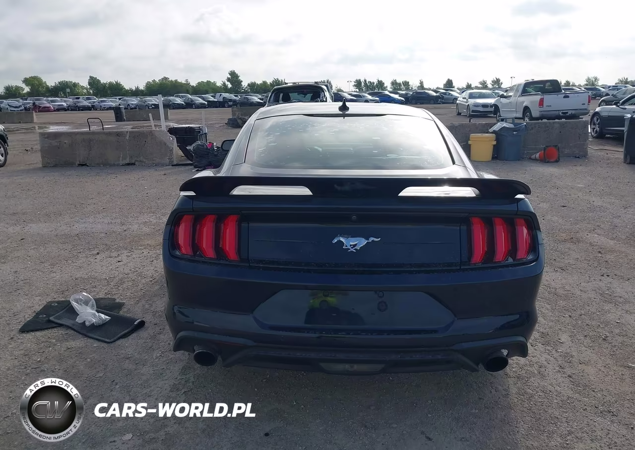 2021 Ford Mustang Ecoboost Fastback VIN:1FA6P8TH1M5157587 - 16