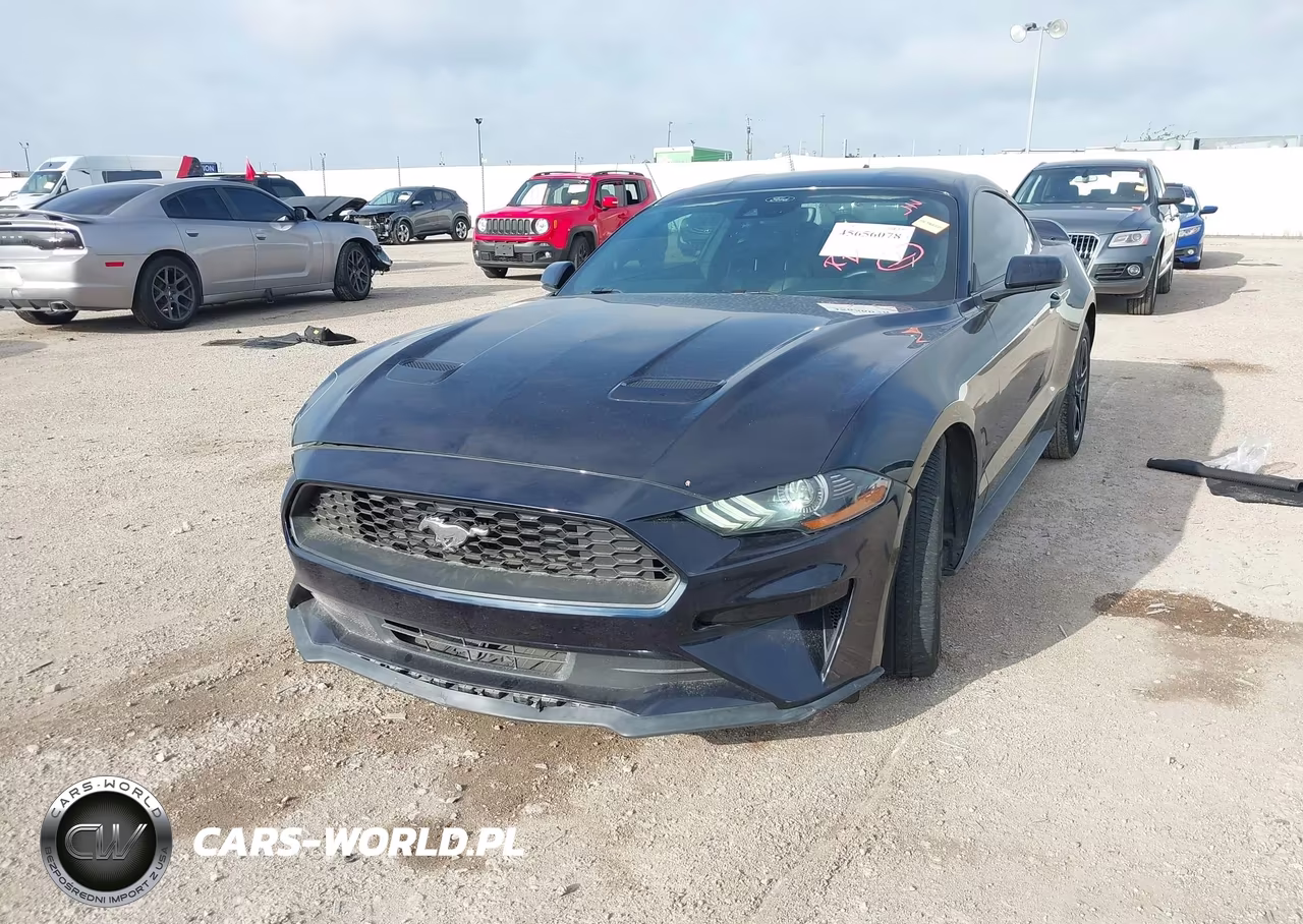 2021 Ford Mustang Ecoboost Fastback VIN:1FA6P8TH1M5157587 - 2