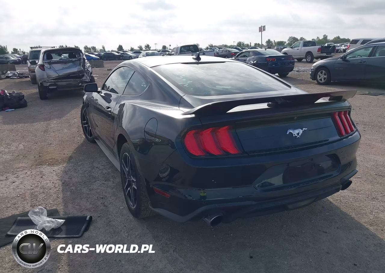 2021 Ford Mustang Ecoboost Fastback VIN:1FA6P8TH1M5157587 - 3