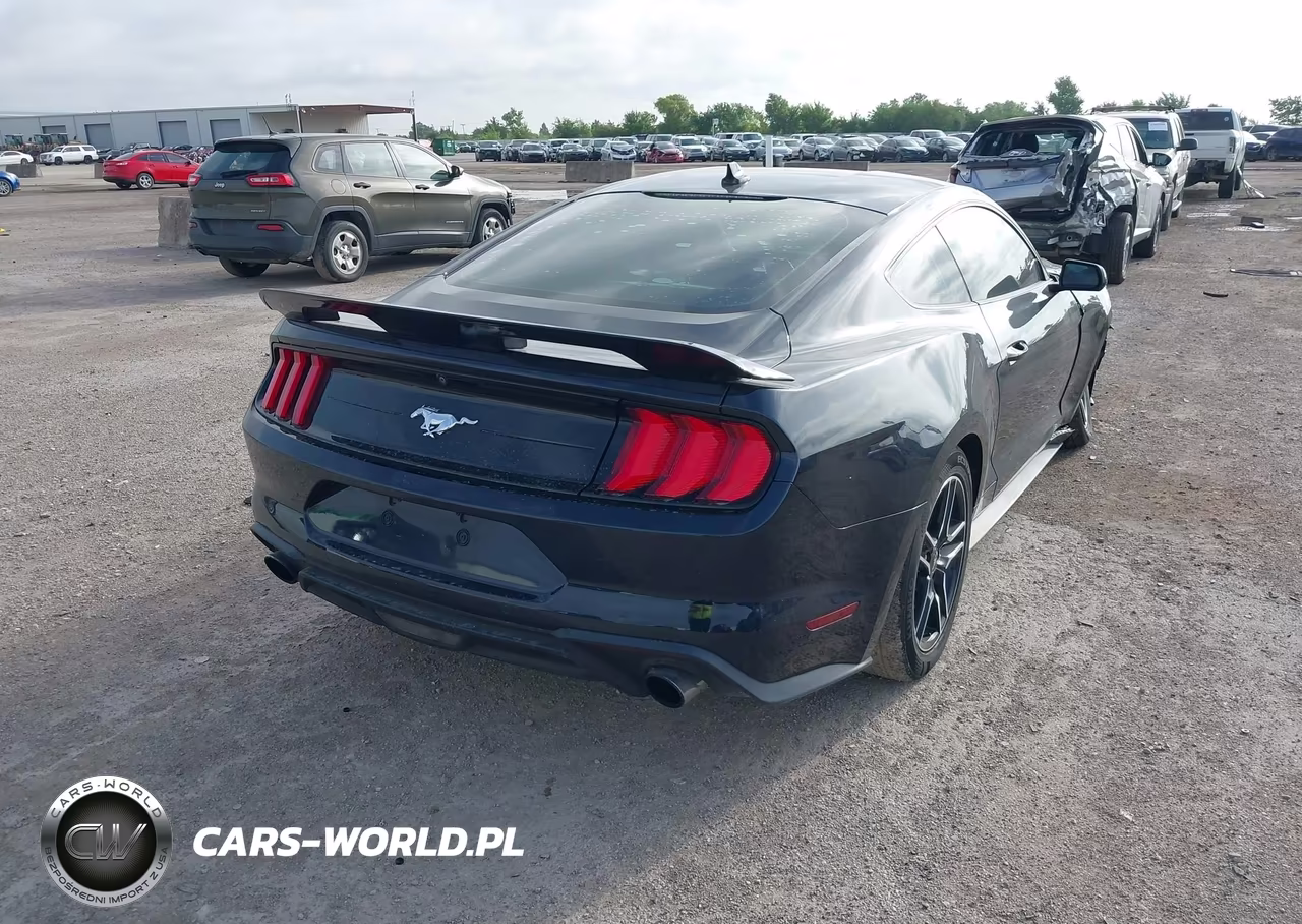 2021 Ford Mustang Ecoboost Fastback VIN:1FA6P8TH1M5157587 - 4