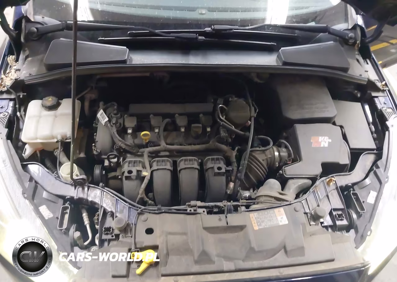 2016 Ford Focus Se VIN:1FADP3K2XGL299136 - 10