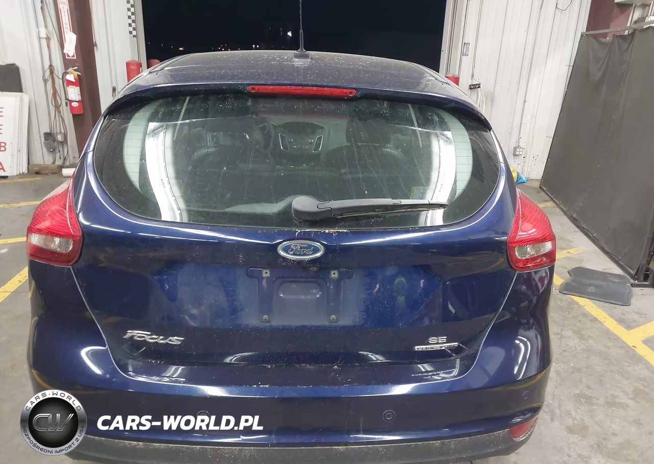 2016 Ford Focus Se VIN:1FADP3K2XGL299136 - 16