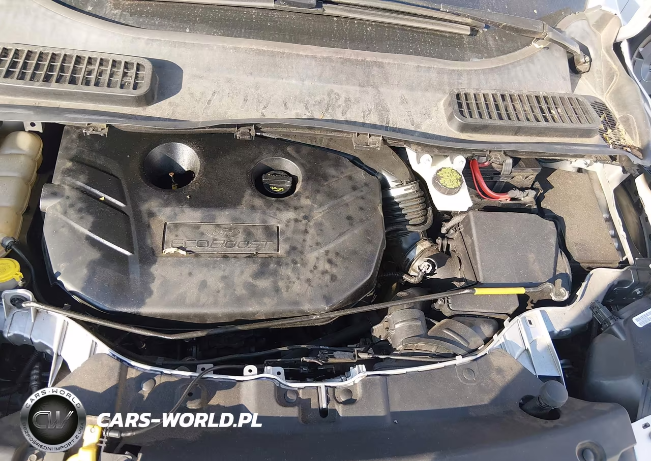 2015 Ford Escape Se VIN:1FMCU0G92FUB96901 - 10