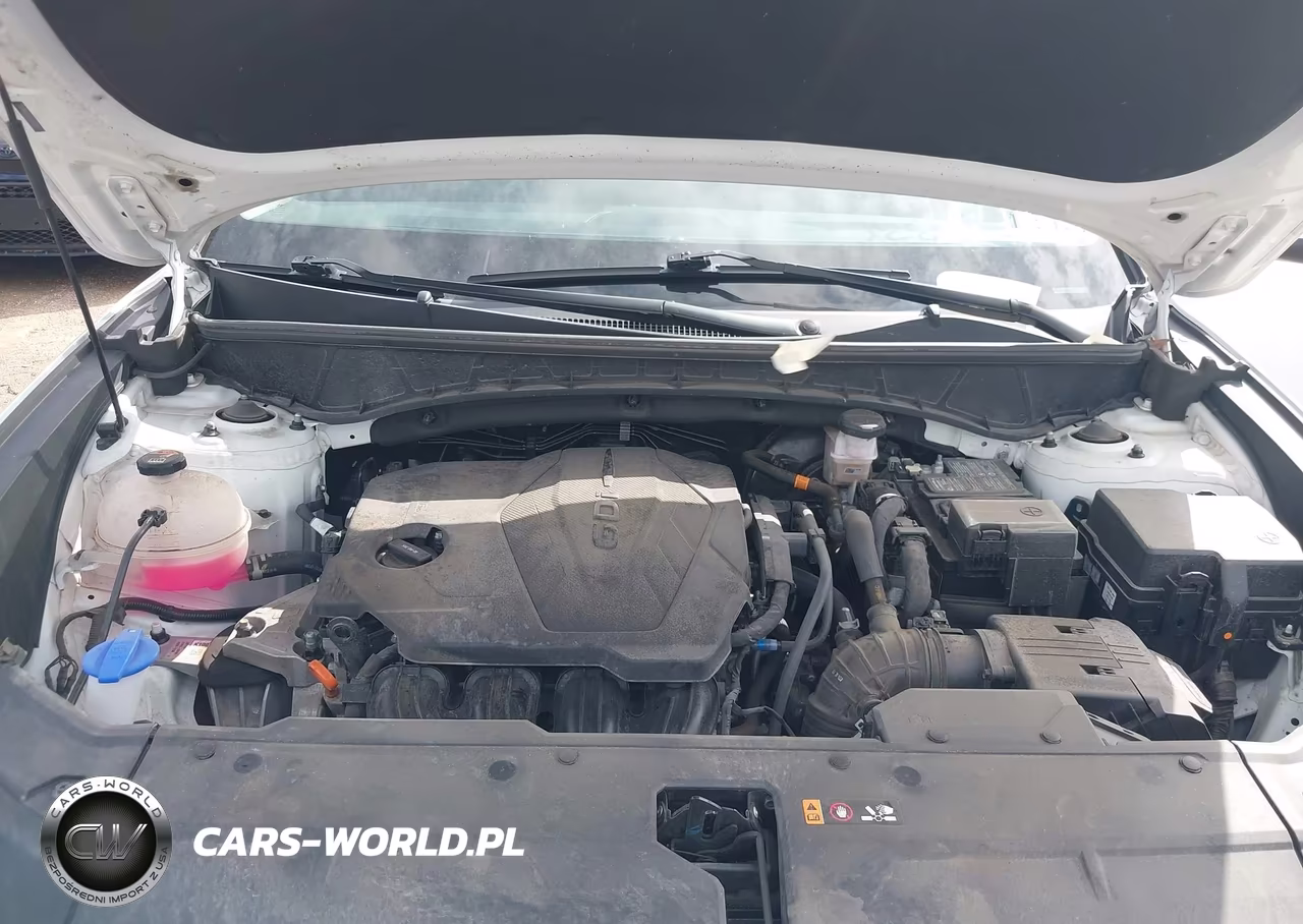 2024 Hyundai Tucson Sel VIN:5NMJBCDE4RH428298 - 10