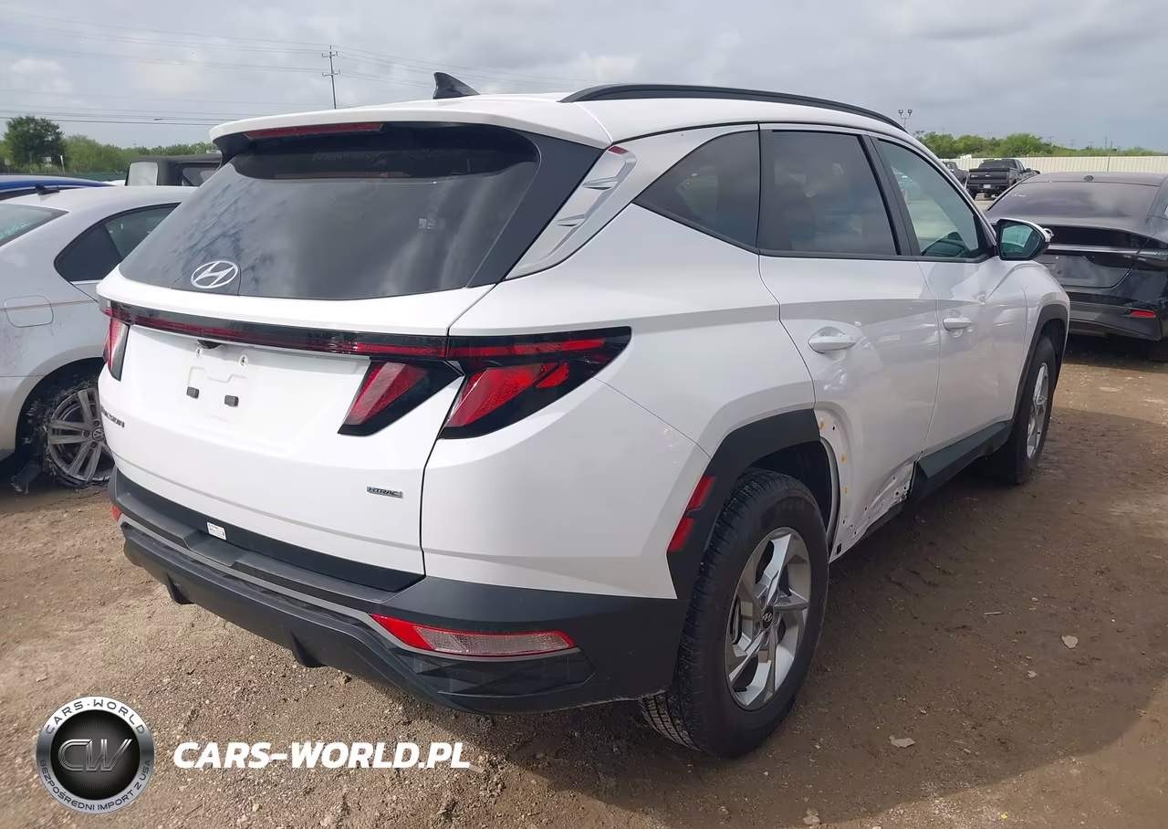 2024 Hyundai Tucson Sel VIN:5NMJBCDE4RH428298 - 4