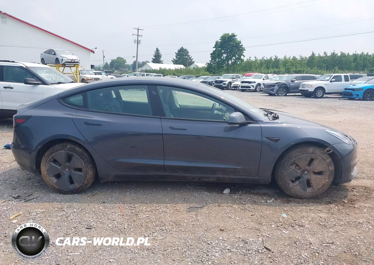 2023 Tesla Model 3 Rear-Wheel Drive VIN:5YJ3E1EA1PF396165 - 12