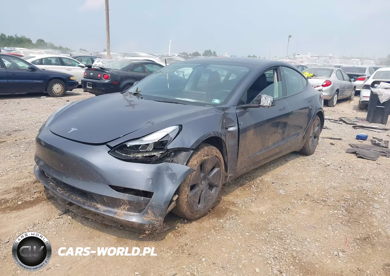 2023 Tesla Model 3 Rear-Wheel Drive VIN:5YJ3E1EA1PF396165 - 2