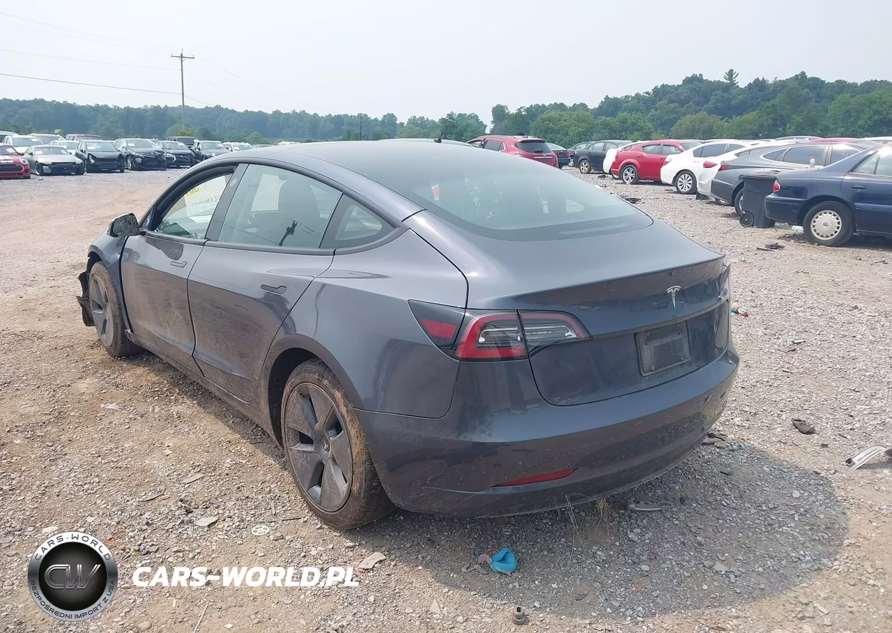2023 Tesla Model 3 Rear-Wheel Drive VIN:5YJ3E1EA1PF396165 - 3